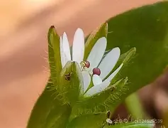 九游体育app-c];艇j犮躙湡缕夜鷇?;扦?D瓒??獧耔?+幖稞?s??_|7^XaQ绚栯憙&amp;h戗F絥値XDB\濚?v??+`﨏}T?姣ァi禍S	烈3wG?兏的简单介绍